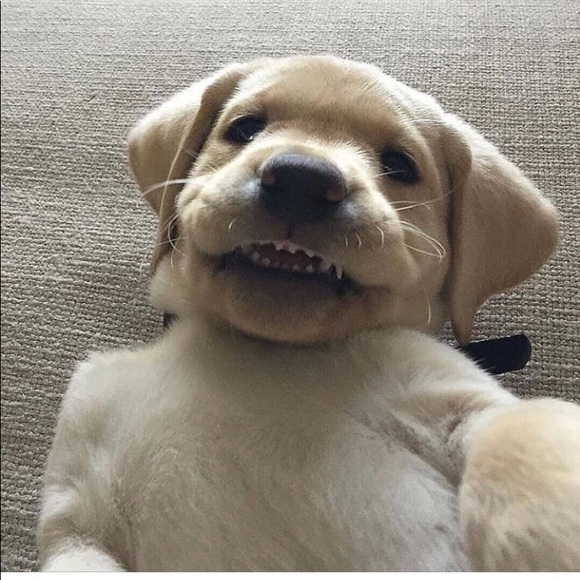 Meet your Posher, Guisell - Picture 1 of 1